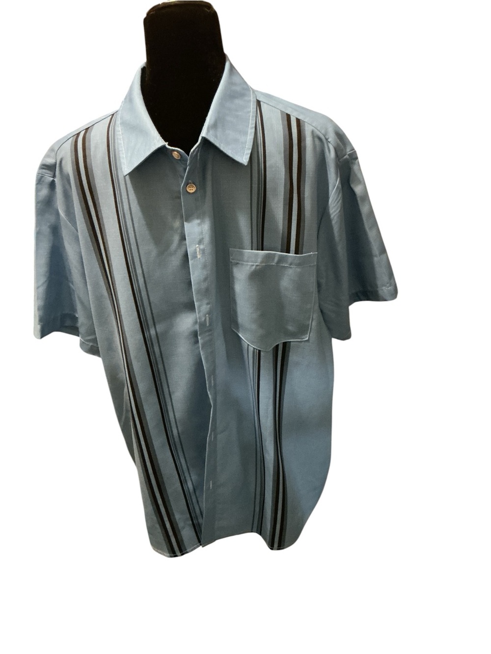 Men's Light Blue Short Sleeve Button-Up Shirt with Vertical Stripes